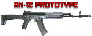 AK-12 Prototype – Experts Test Video