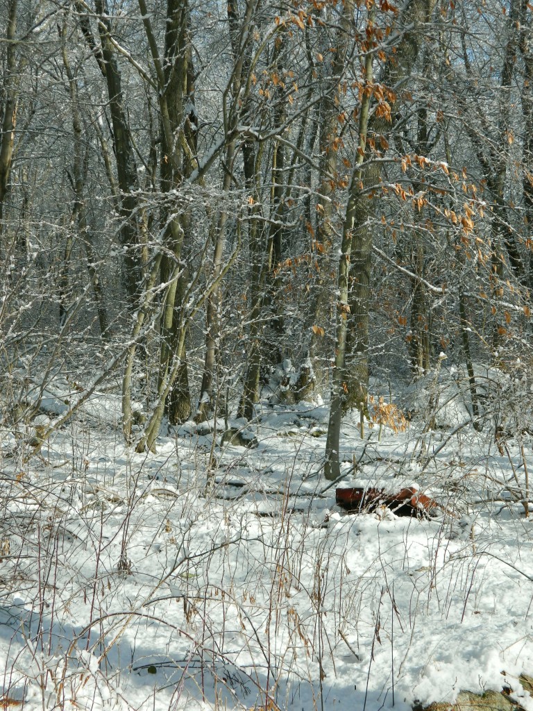 HYDE Definition // ’tis the season – for “SNOWDRIFT”