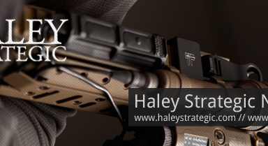 haley_strategic