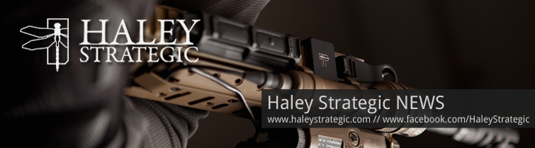 haley_strategic_header2013