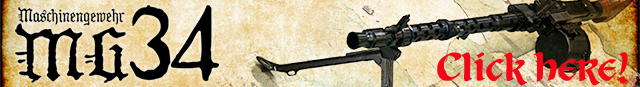 RWA MG34 AEG