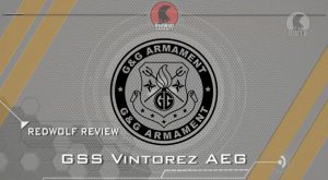 G&G VSS Vintorez AEG