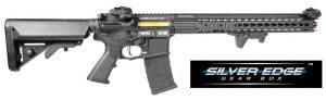 APS Conception // New ASR AEGs for 2016