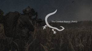 Project Gecko // The Combat Stance – Part 2