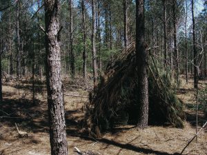 No Tent, No Problem – Learn how to build a Debris Hut