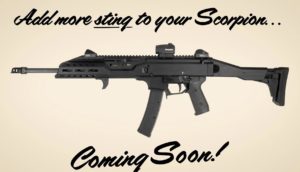 Magpul CZ Scorpion EVO 3 Parts