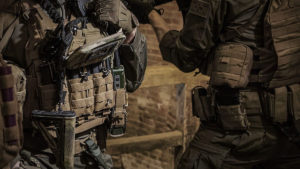 Tasmanian Tiger Product Update at Triple Action